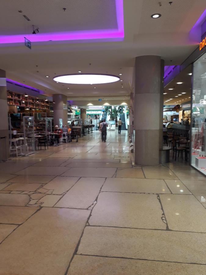 Mostly Muse Eidenberg Екстериор снимка