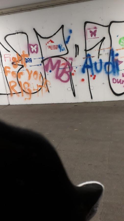 Mostly Muse Eidenberg Екстериор снимка